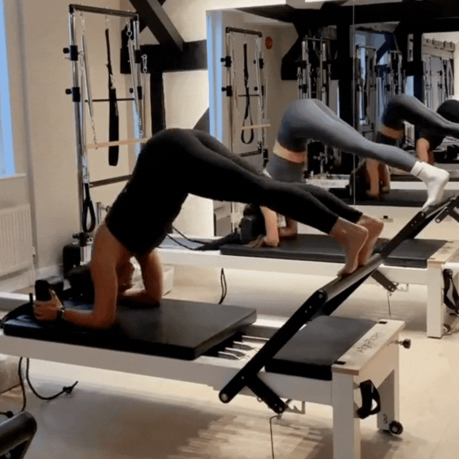 <p>Rhinox Pilates Vs. Traditional Pilates</p>